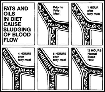 Fats and Oils in Diet Cause Sludging of Blood Flow