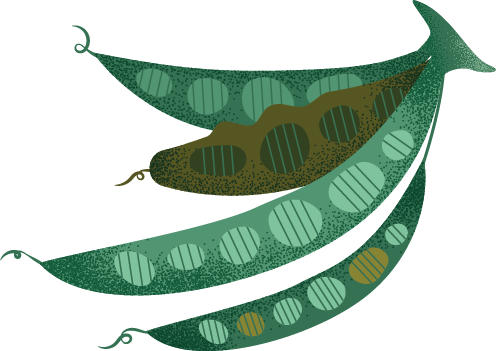 Image of peas