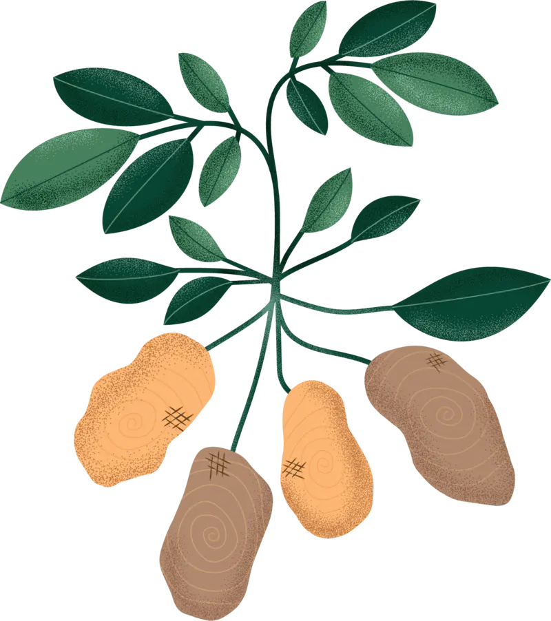 Beets and potatoes