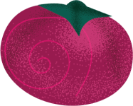 Image of fruit