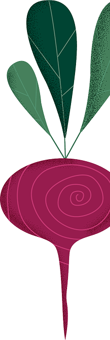 Image of a beet