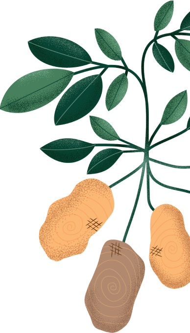 Clip art of vegetables