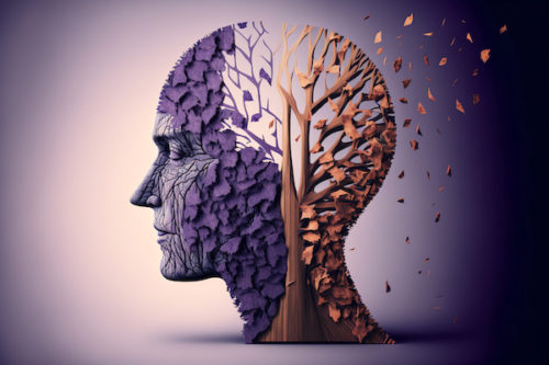 McDougall's Medicine: How to Treat Alzheimer's Disease