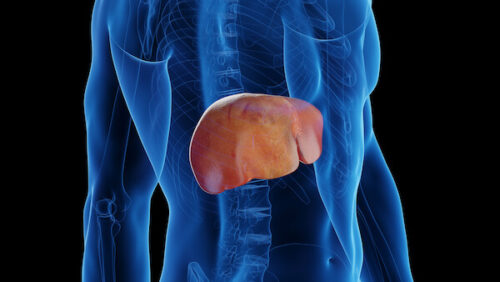John McDougall, MD: Non-alcoholic Fatty Liver Disease