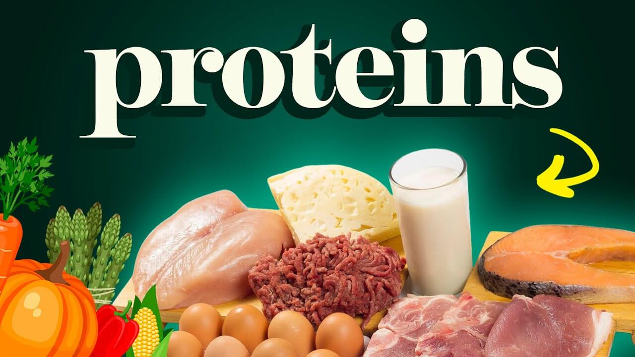 Image of When Friends Ask About Protein