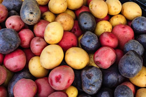 The Power of Potatoes: A Nutritional Staple for Health