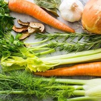 Free McDougall Program