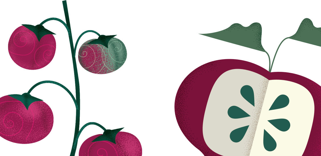 Tomatoes on the vine and an apple